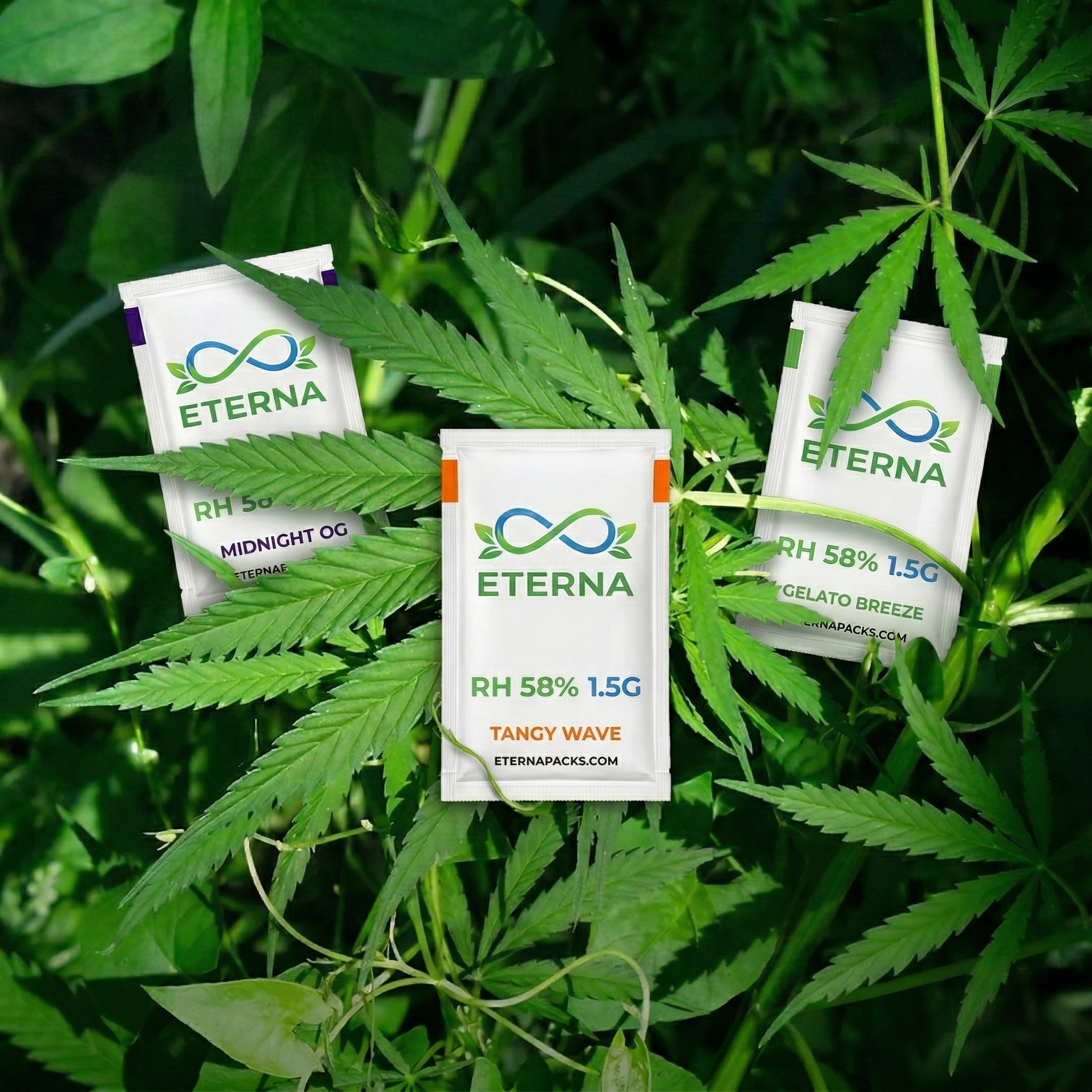 Precision Preservation